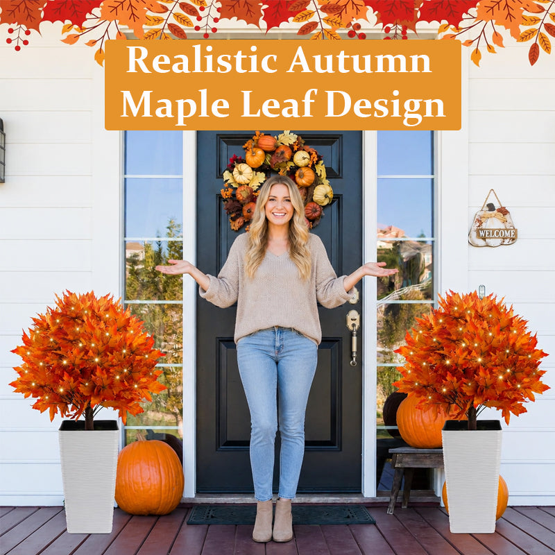 🍁Light-Up Autumn Maple Garden Stakes – Festive Autumn Countdown! 🍂✨