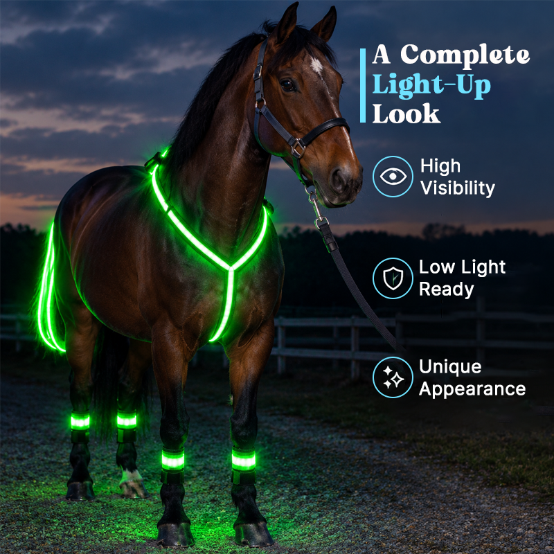 🐎Light-up Horse-riding Set